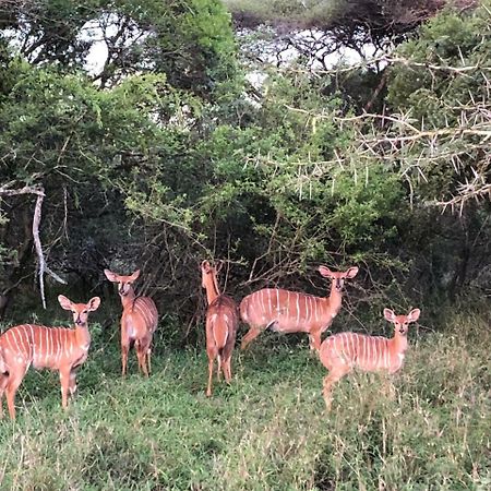 Msunduze River Lodge Mkuze Esterno foto