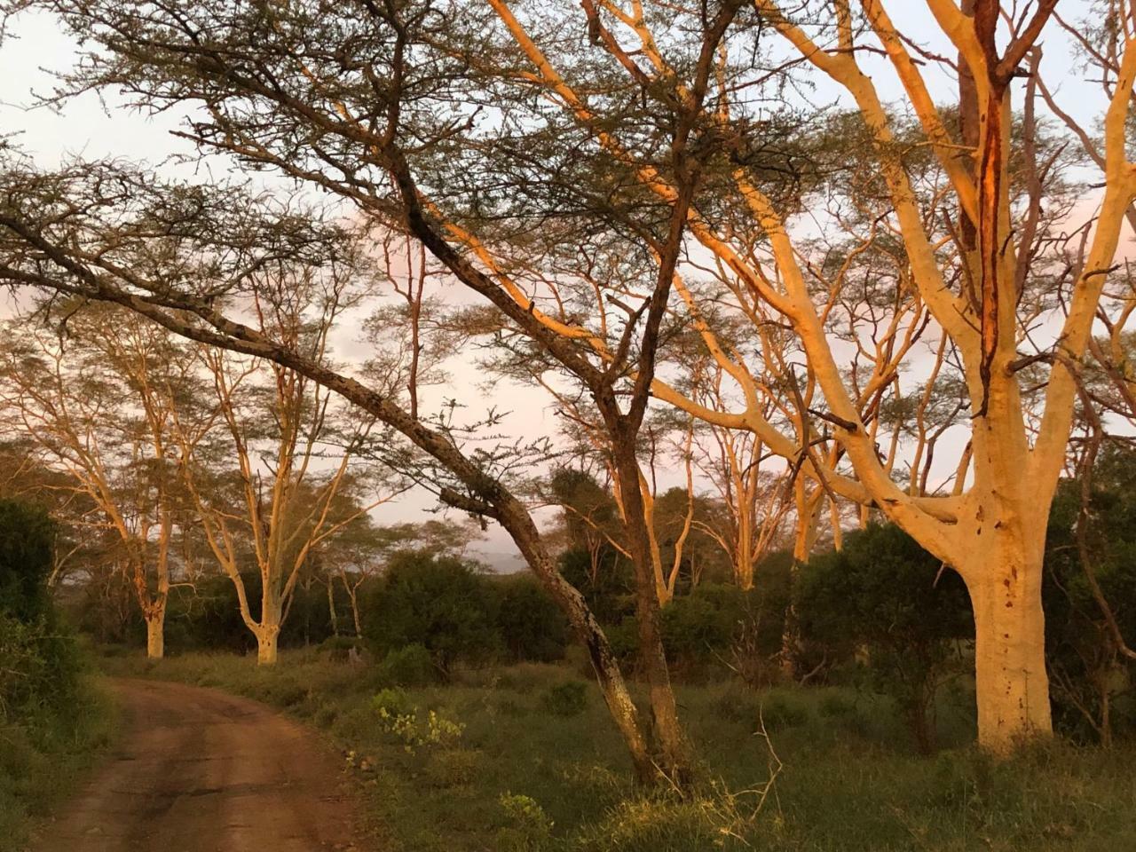 Msunduze River Lodge Mkuze Esterno foto
